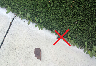 weed-control-artificial-grass