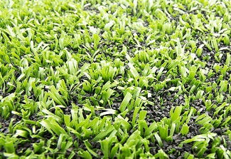balck-rubber-granules-for-infill-football-turf