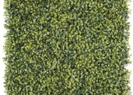 boxwood-hedge