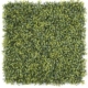 boxwood-hedge
