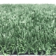 Non-infilled-football-grass