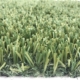 Non-infilled-football-grass