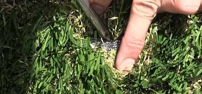 nails-for-artificial-grass