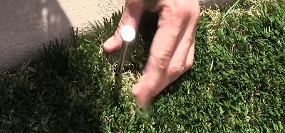 pins-artificial-grass