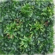 vertical-garden-green-walls