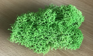 preserved-moss-7