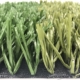 Fibrillated-football-grass