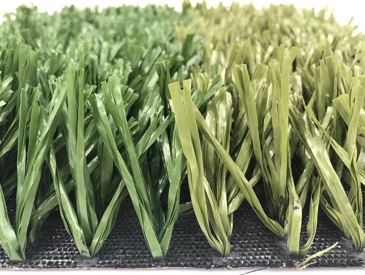 Fibrillated-football-grass