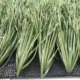 football-grass-artificial