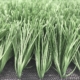 soccer-grass
