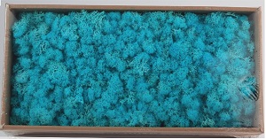 preserved-moss (1)