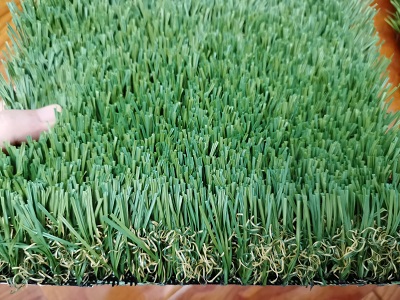 Seattle-100oz-artificial-turf