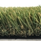 natural-color-landscaping-grass