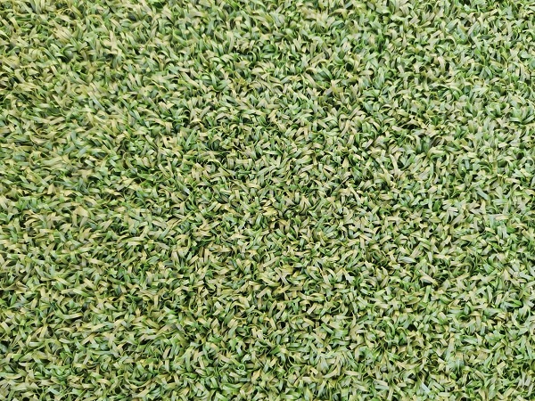 15mm-golf-artificial-grass