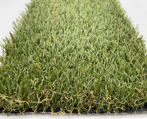 pet-grass
