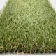 pet-grass